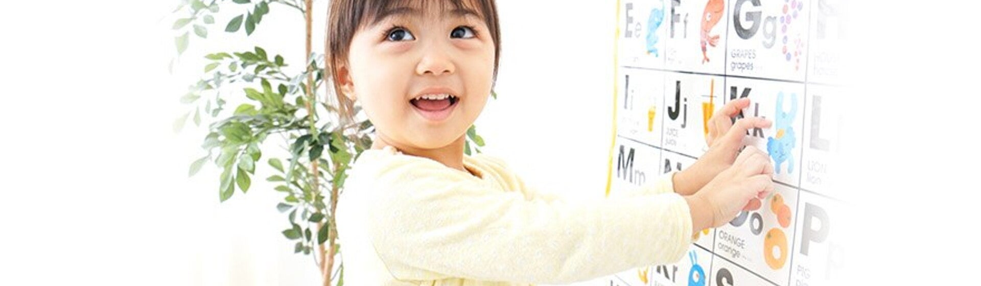 TIPSWY~1_881x378_2.jpg